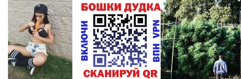 где продают наркотики  Пересвет  Канабис Amnesia 